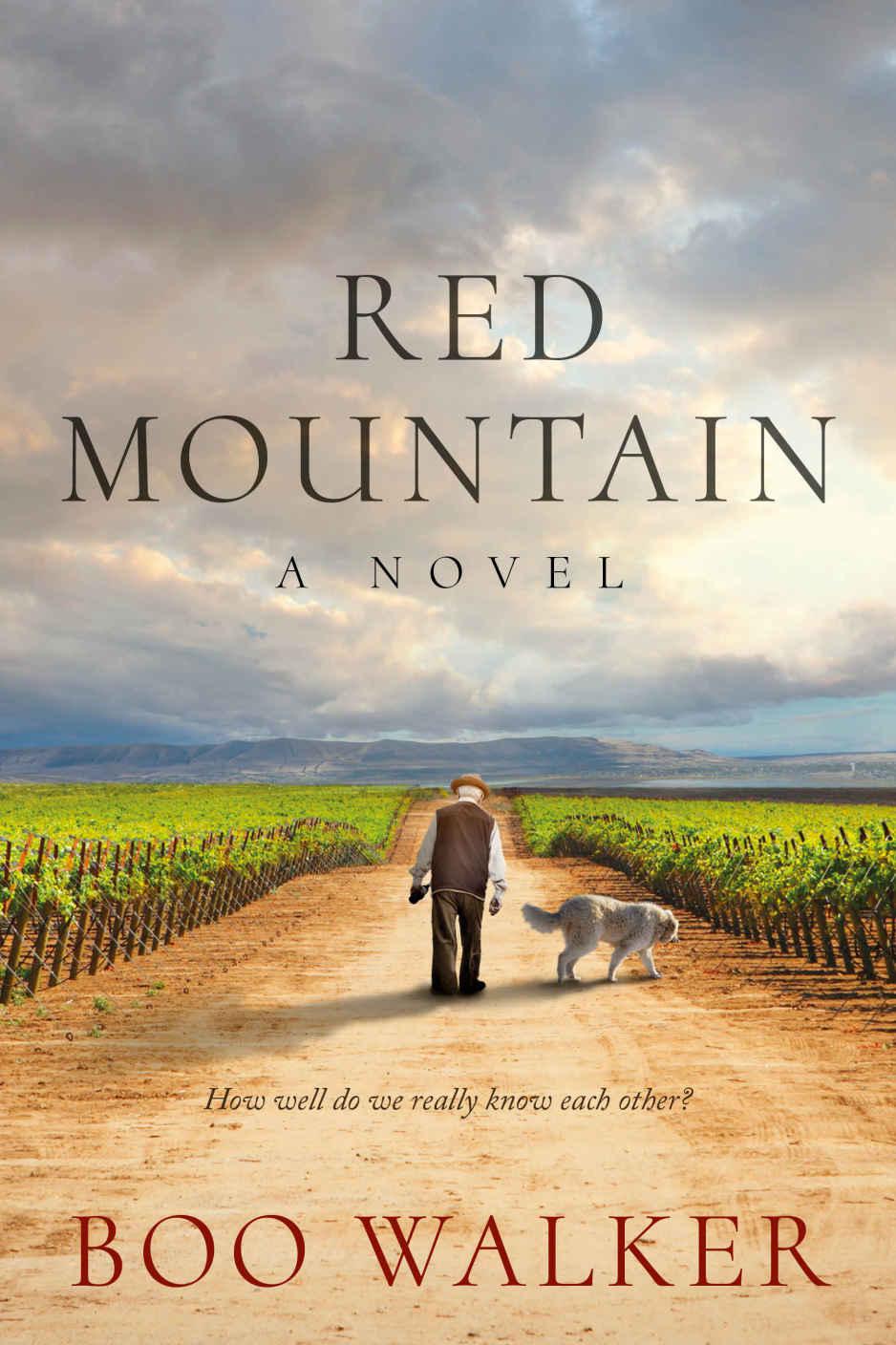 Red Mountain: A Novel (Red Mountain Chronicles)