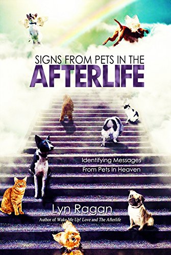 Signs From Pets In The Afterlife