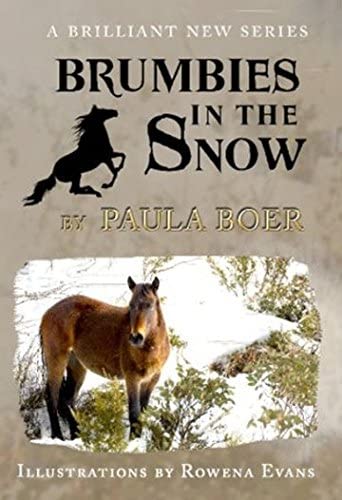 Brumbies in the Snow