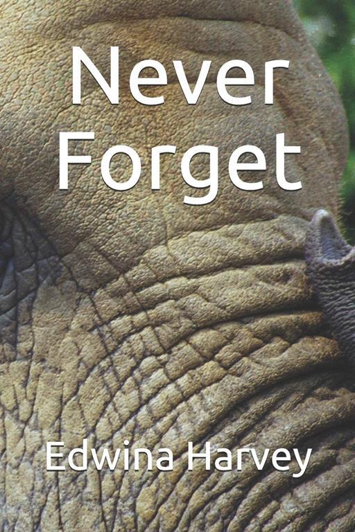 Never Forget: a novelette