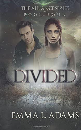 Divided (The Alliance Series) (Volume 4)