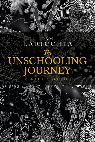 The Unschooling Journey