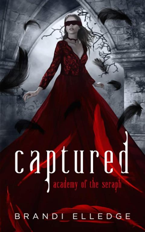 Captured: Academy of the Seraph