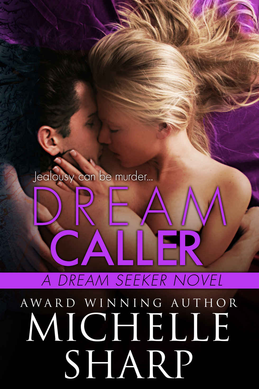 Protecting The Dream (A Dream Seeker Novel)