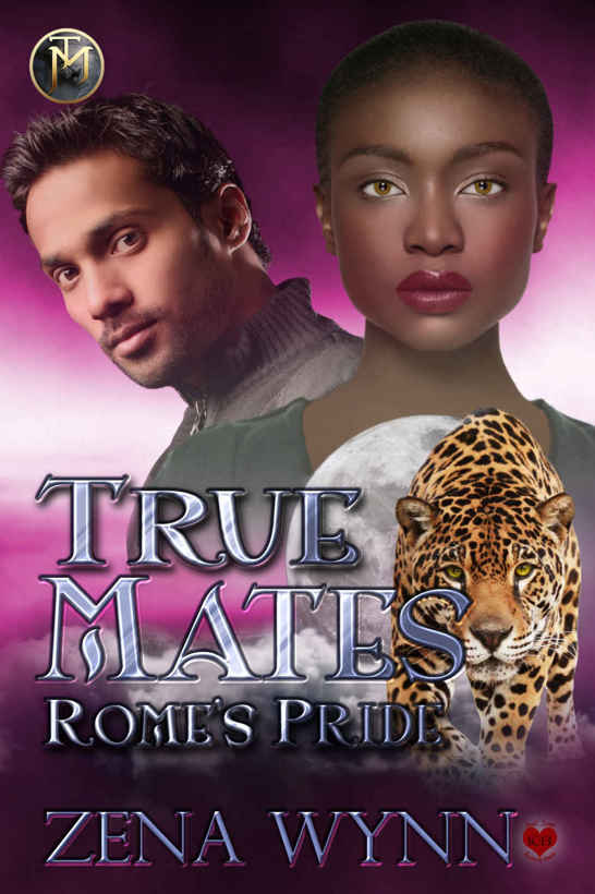 Rome's Pride, Book 6