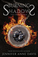 Burning Shadows: Order of the Krigers, Book 2