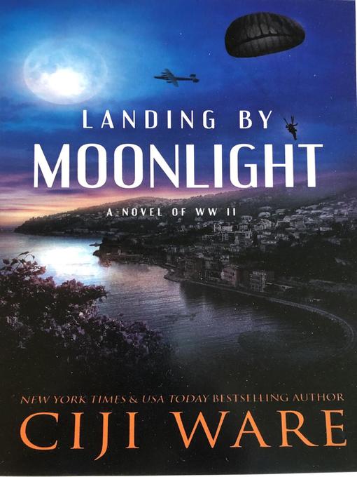 Landing by Moonlight