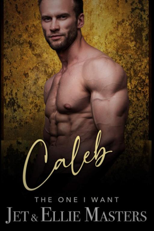 Caleb: A Contemporary Military Romantic Suspense (The One I Want)