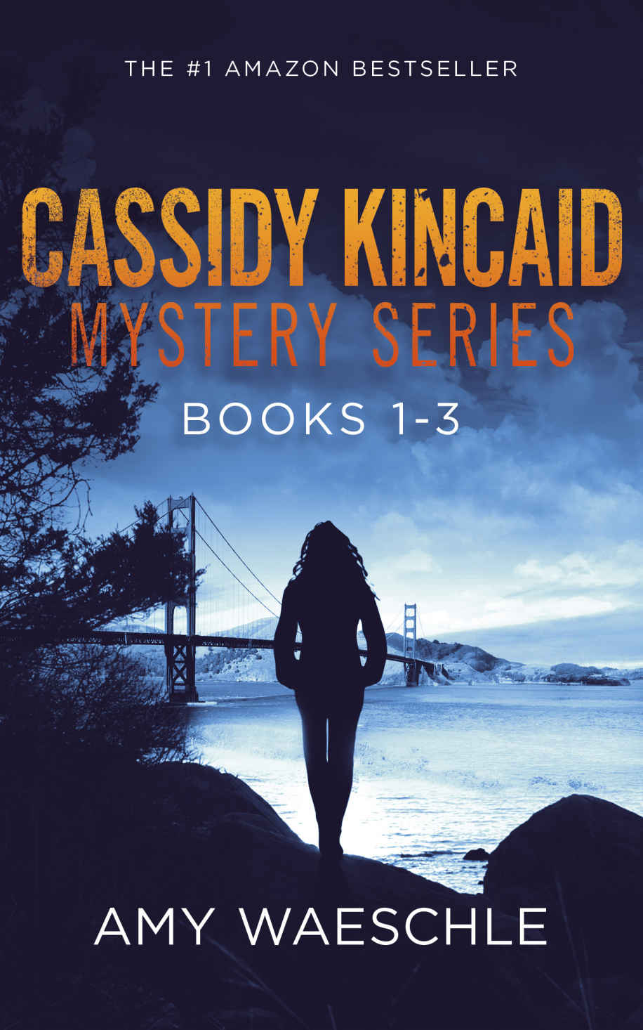 Rescuing Reeve: A Twisty Suspense Novel (Cassidy Kincaid)