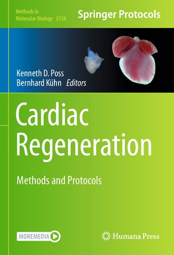 Cardiac Regeneration