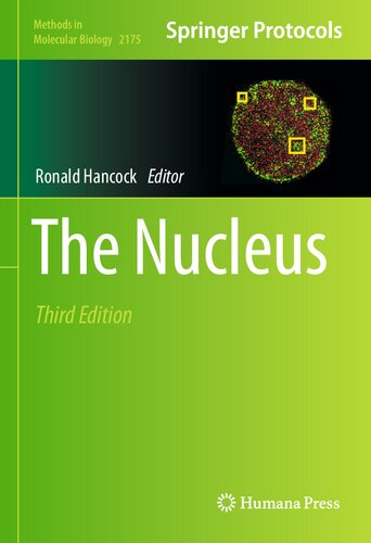 The Nucleus