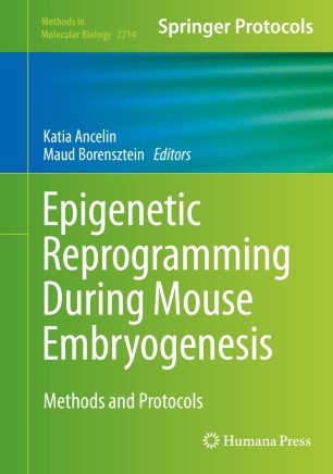 Epigenetic Reprogramming During Mouse Embryogenesis : Methods and Protocols