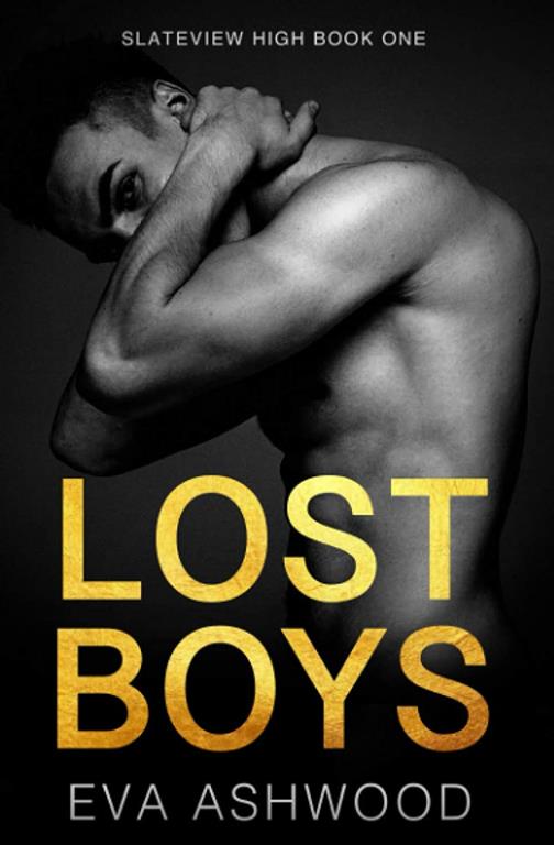 Lost Boys: A Reverse Harem High School Bully Romance (Slateview High)