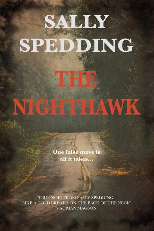 The Nighthawk (DI John Lyon Thriller Book 1)