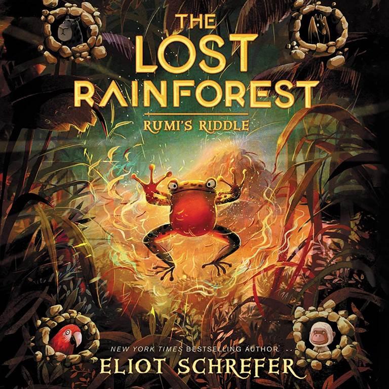 Rumi's Riddle: Library Edition (Lost Rainforest)