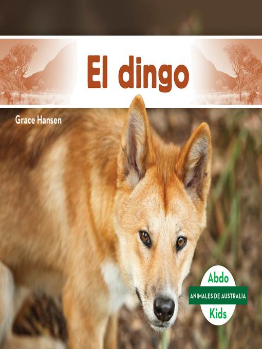 El dingo (Dingo)