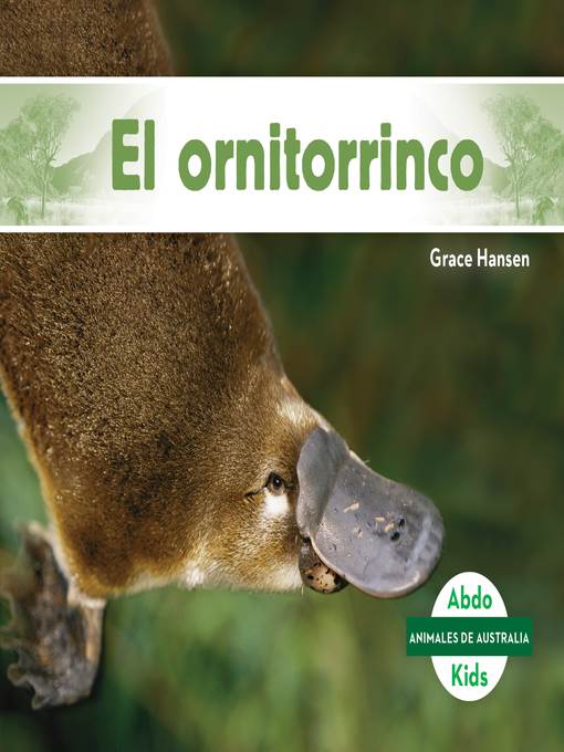 El ornitorrinco (Platypus )