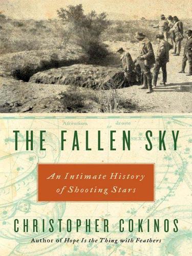 The fallen sky : an intimate history of shooting stars