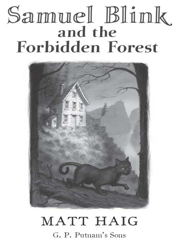 Samuel Blink and the Forbidden Forest