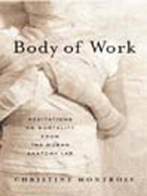 Body of Work