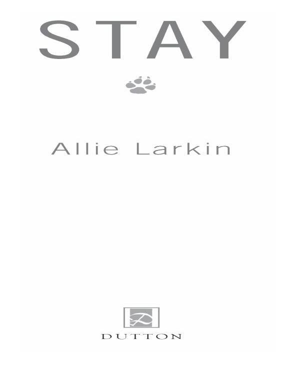 Stay