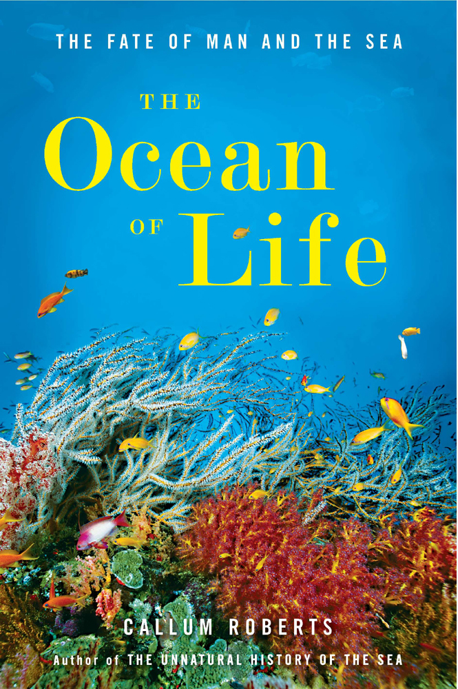 The Ocean of Life