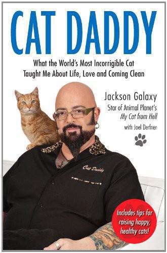 Cat Daddy