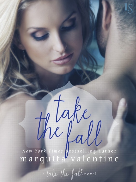 A Take the Fall Novel