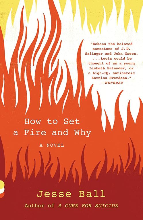 How to Set a Fire and Why: A Novel (Vintage Contemporaries)