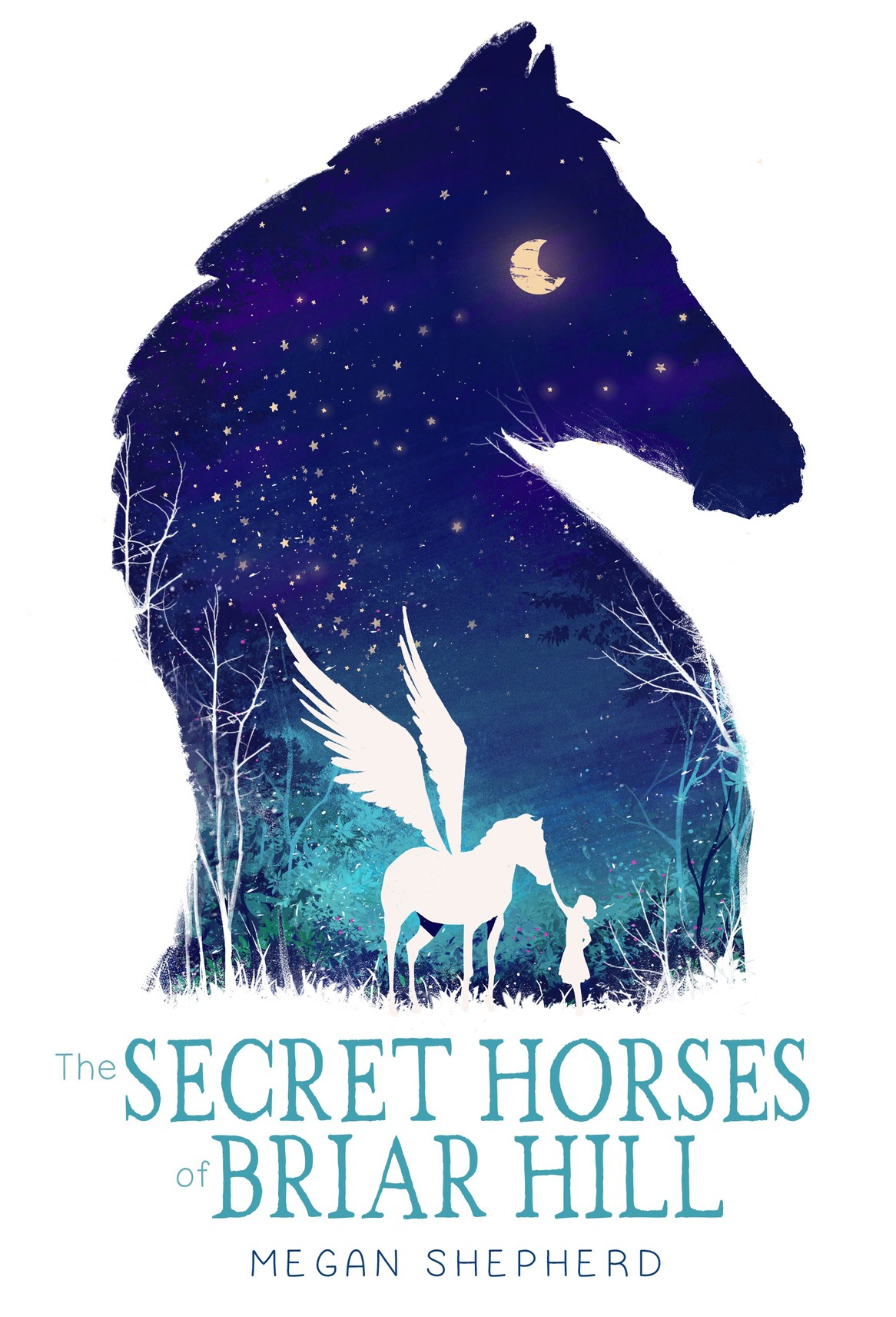 The Secret Horses of Briar Hill