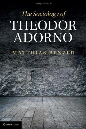 The Sociology Of Theodor Adorno