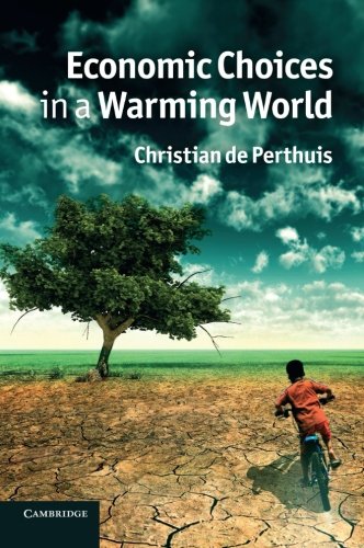 Economic Choices in a Warming World