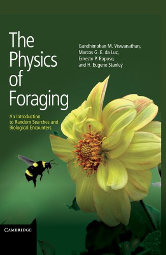 The Physics of Foraging