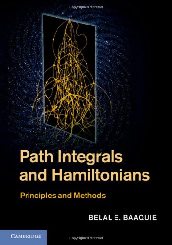 Path Integrals and Hamiltonians