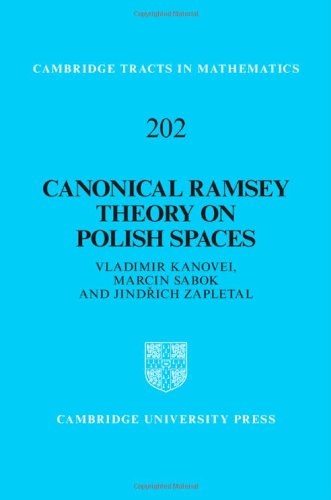 Canonical Ramsey Theory on Polish Spaces