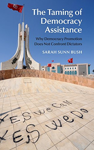 The Taming of Democracy Assistance