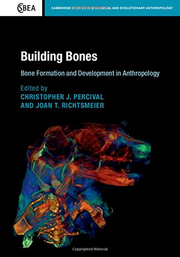 Building Bones