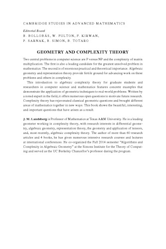 Geometry and Complexity Theory