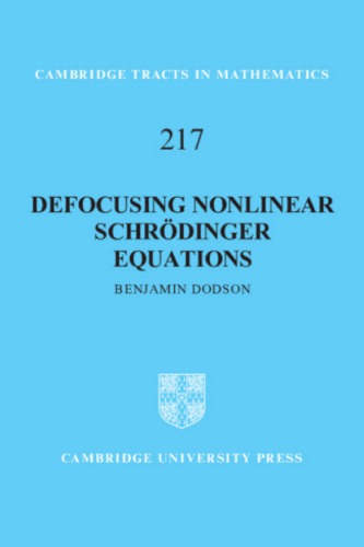 Defocusing Nonlinear Schr�dinger Equations