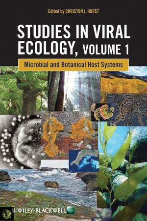 Studies in viral ecology