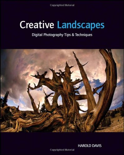 Creative Landscapes