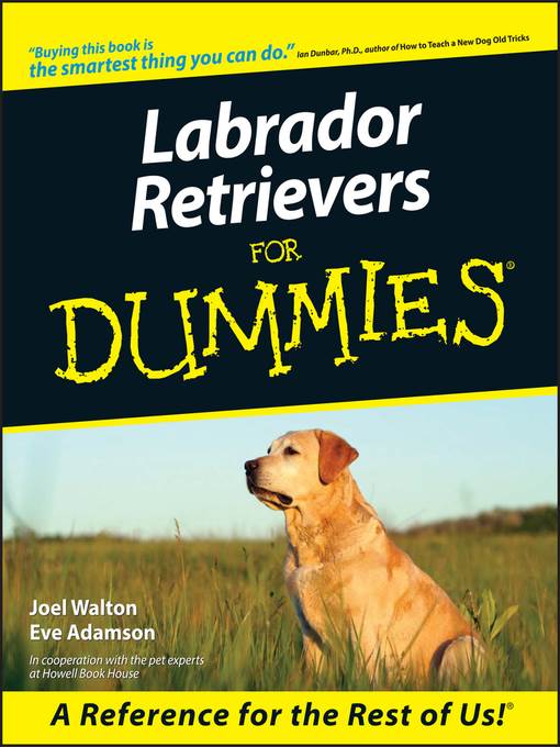 Labrador Retrievers For Dummies