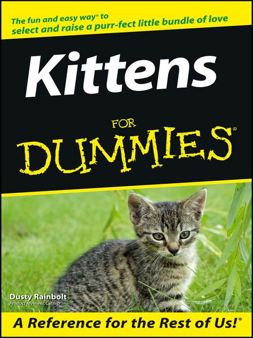 Kittens For Dummies