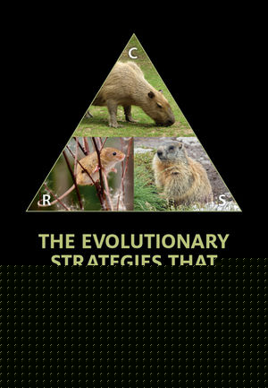 The evolutionary strategies that shape ecosystems