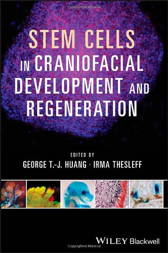 Stem Cells in Craniofacial Development and Regeneration