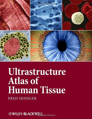 Ultrastructure Atlas of Human Tissues