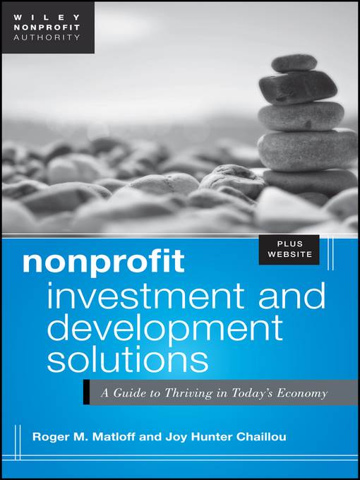 Nonprofit Investment & Development Solutions + Website