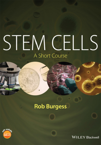 Stem Cells