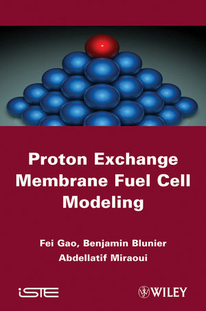 Proton exchange membrane fuel cell modeling