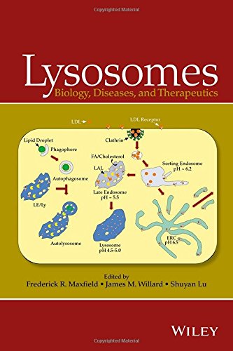 Lysosomes